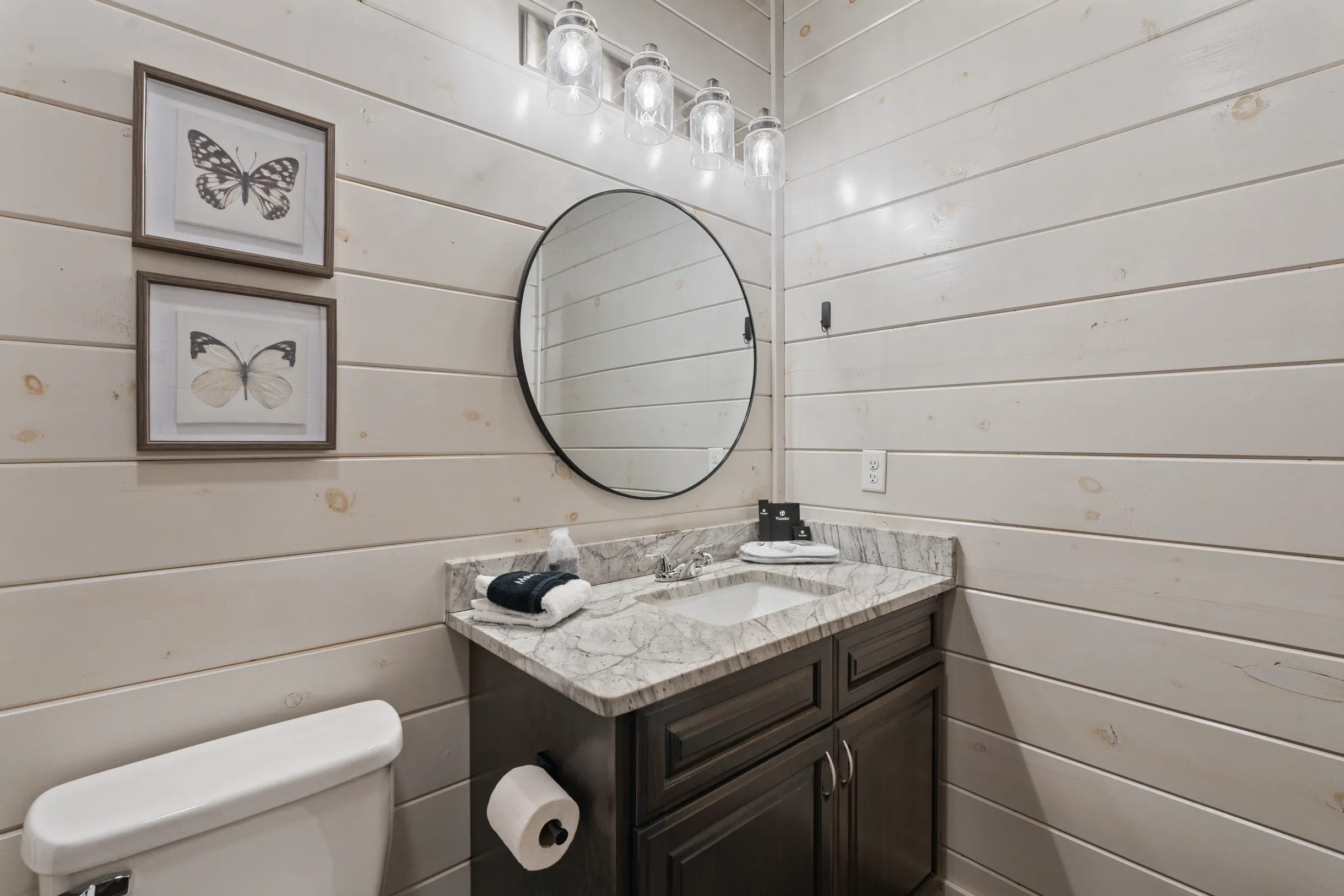 Wander Smoky Woods #37