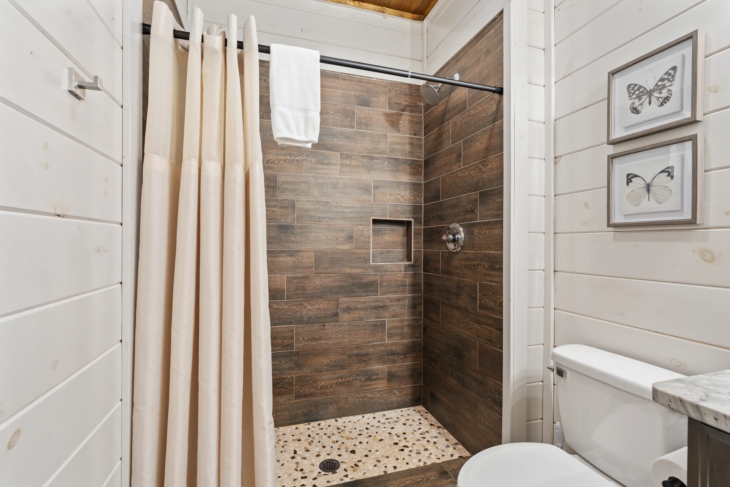 Wander Smoky Woods #57