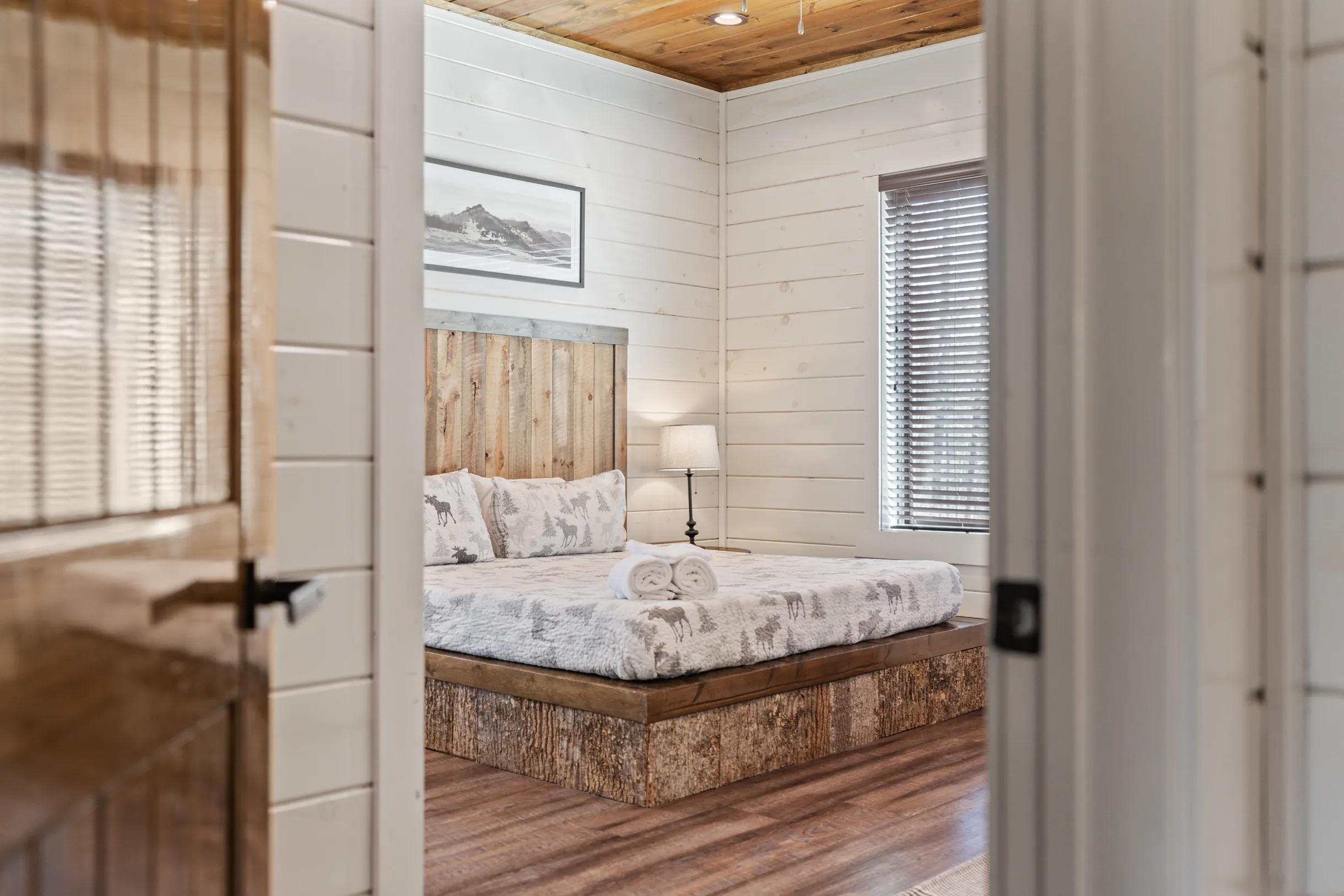 Wander Smoky Woods #79