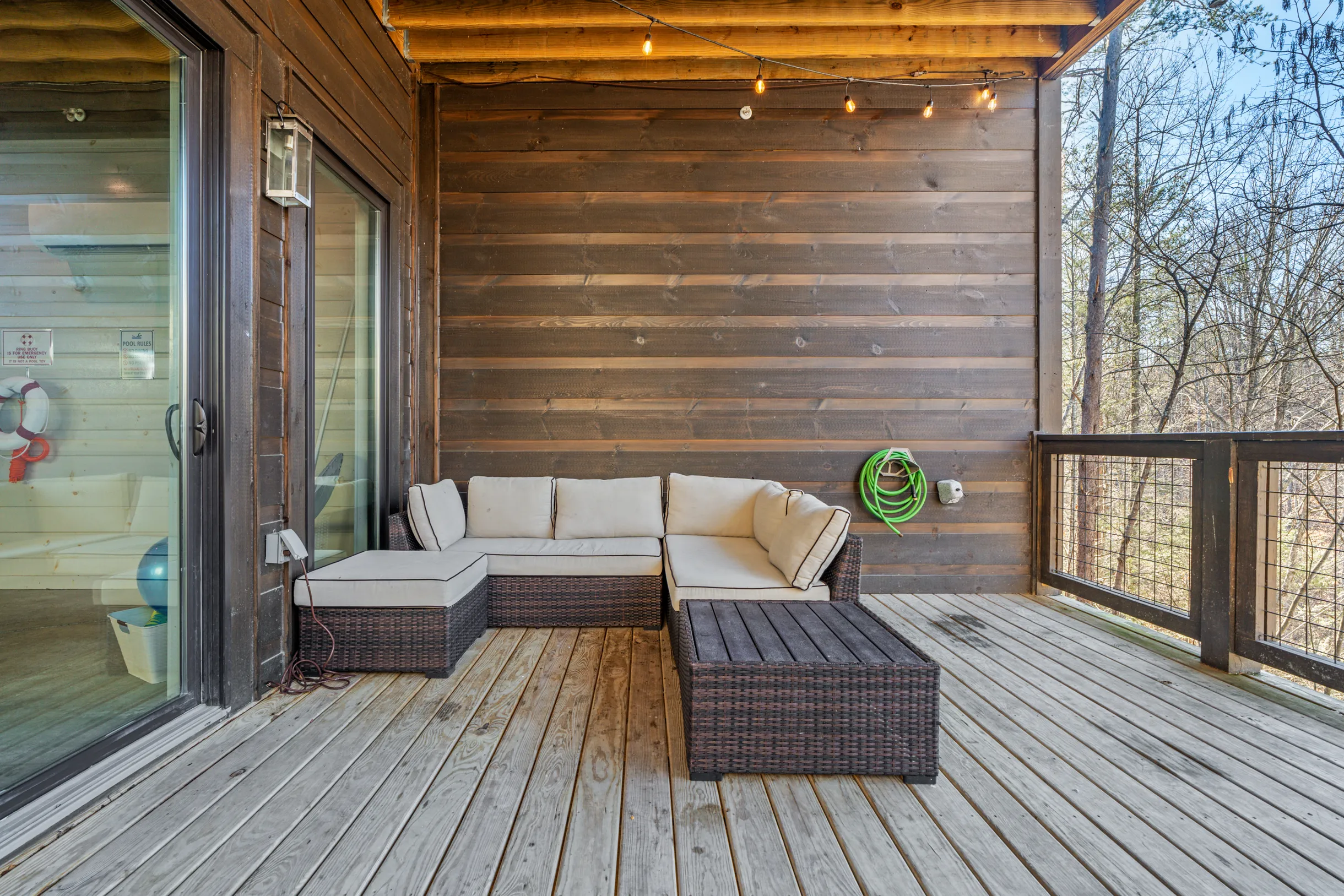 Wander Smoky Woods #86