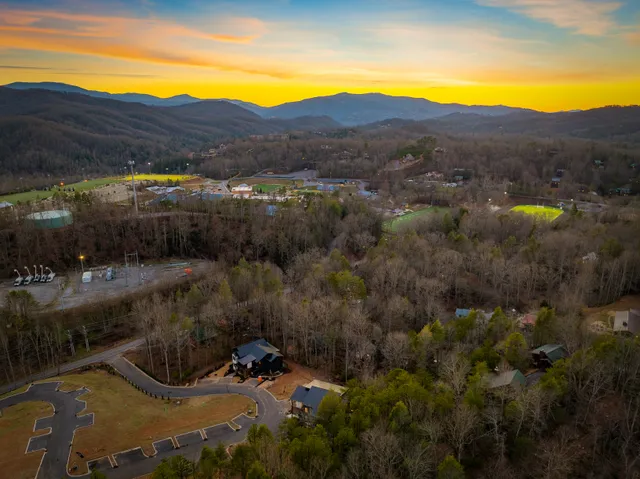Wander Gatlinburg Forest