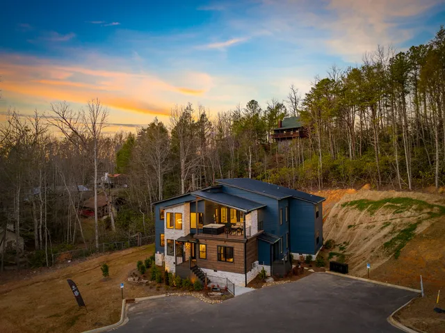 Wander Gatlinburg Forest