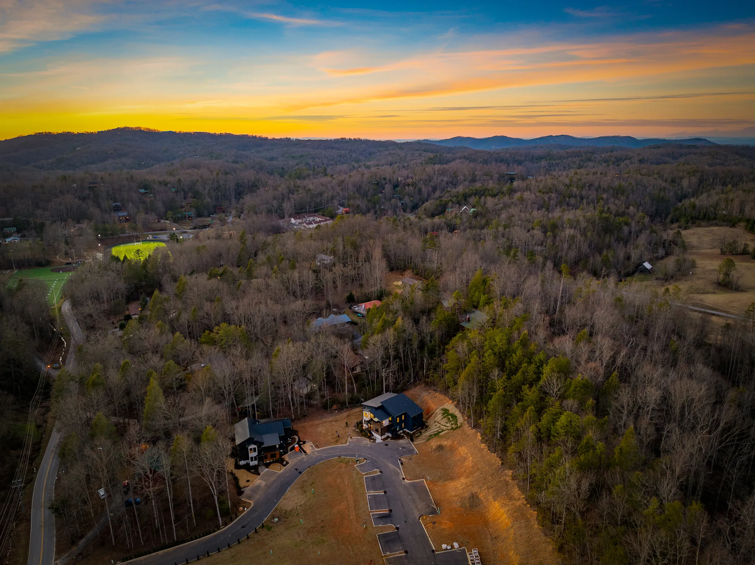 Wander Gatlinburg Forest #82