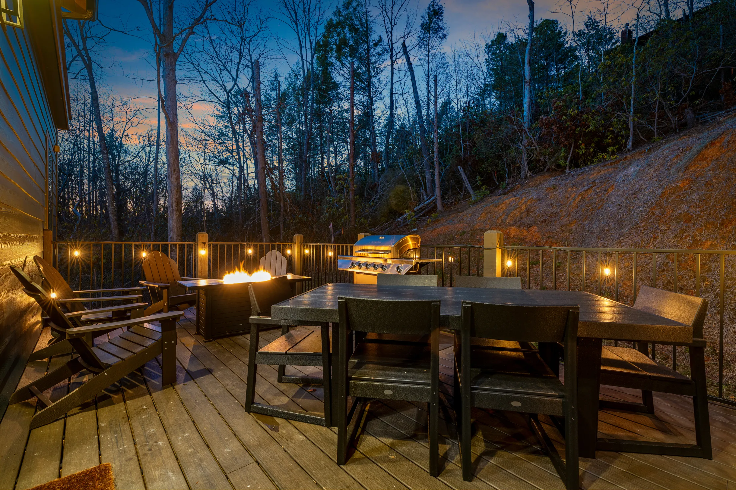 Wander Gatlinburg Forest #5