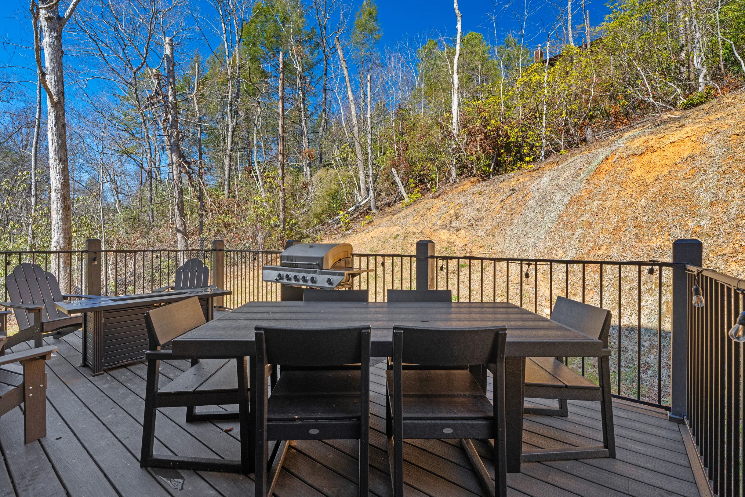 Wander Gatlinburg Forest #48