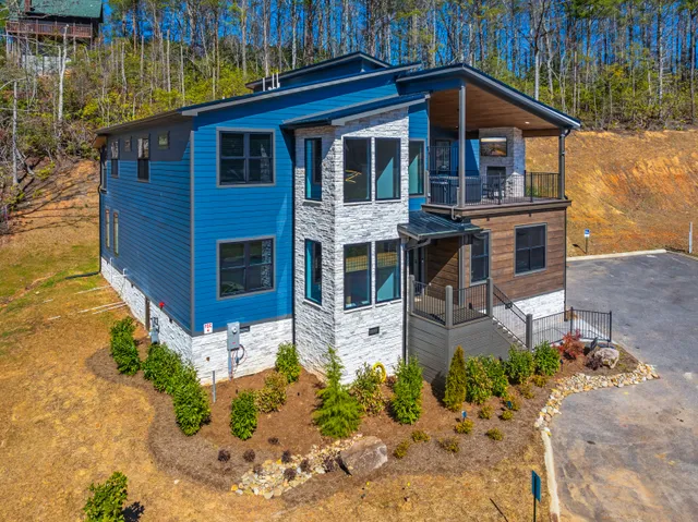 Wander Gatlinburg Forest