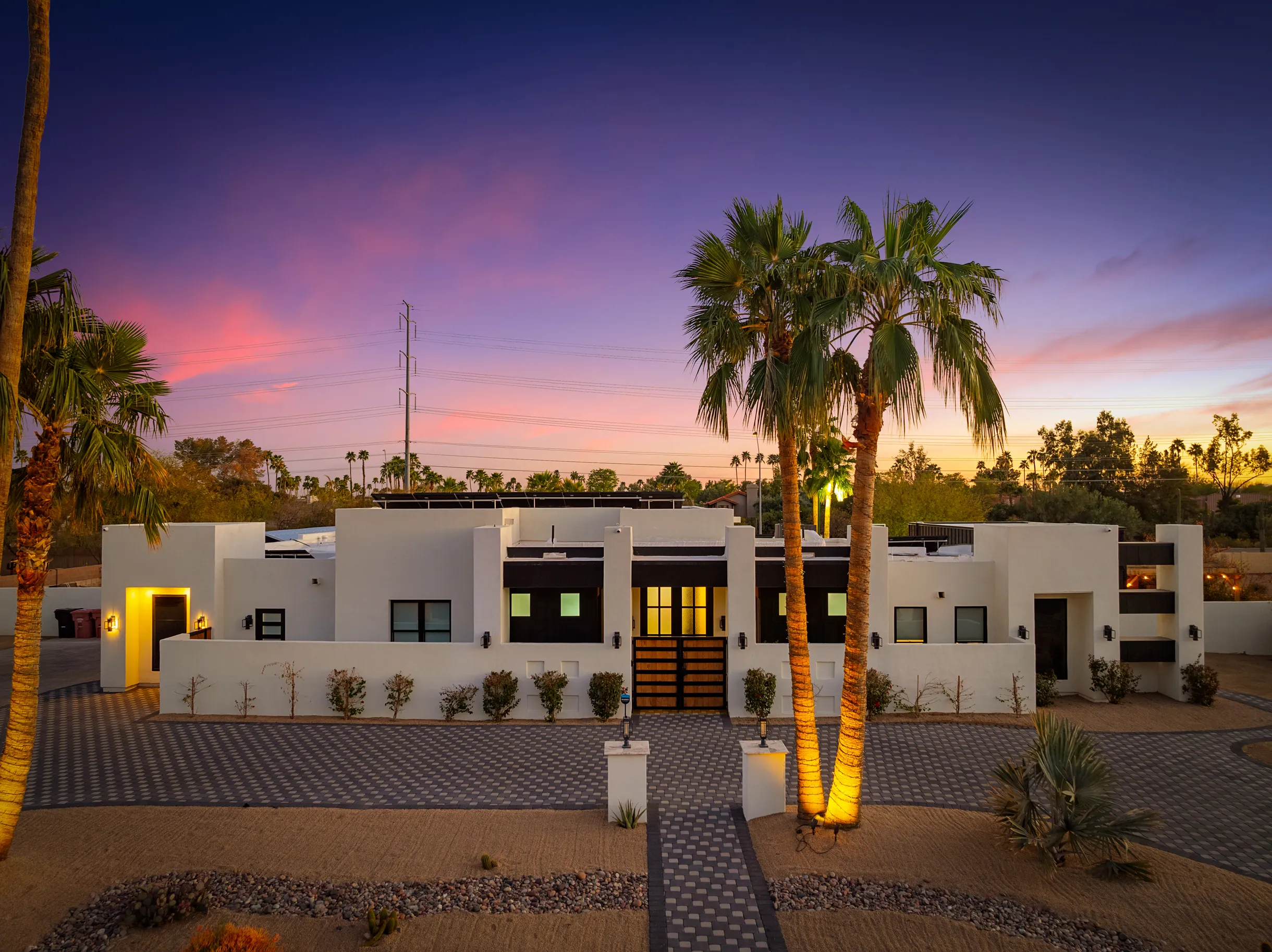 Wander Scottsdale Desert #1
