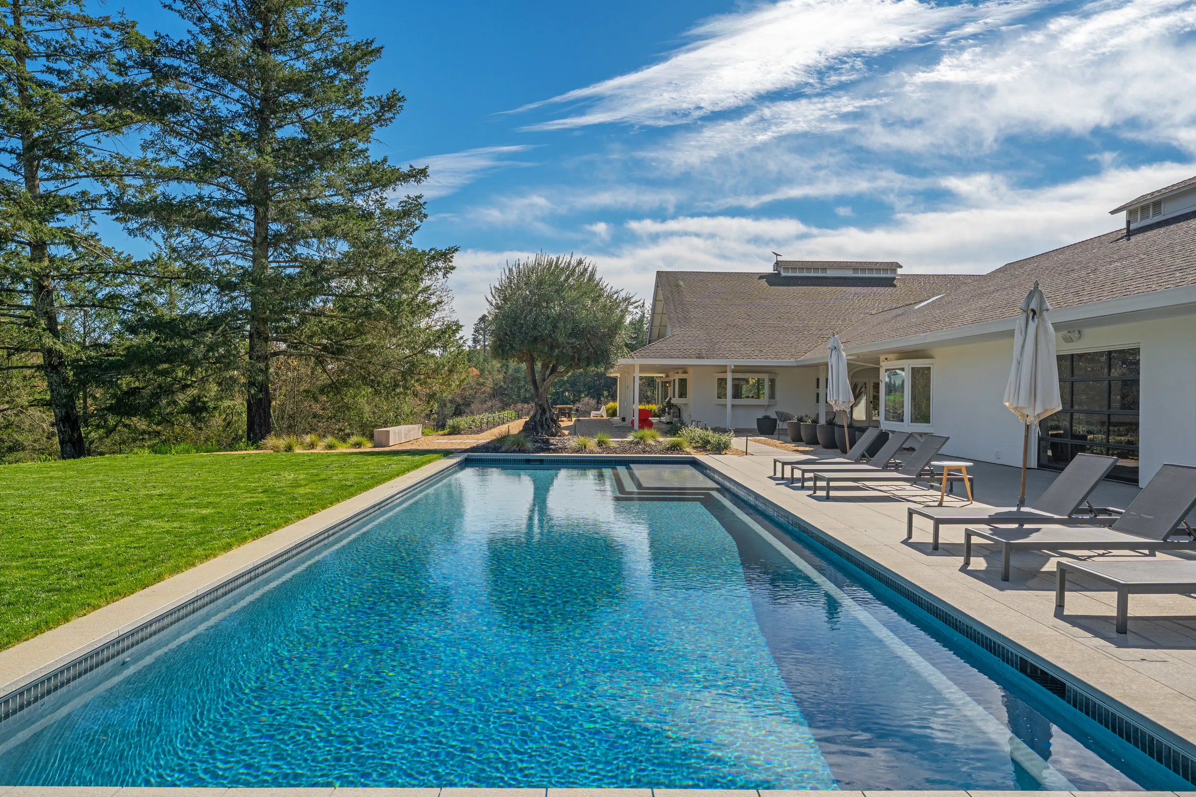 Wander Dry Creek #57