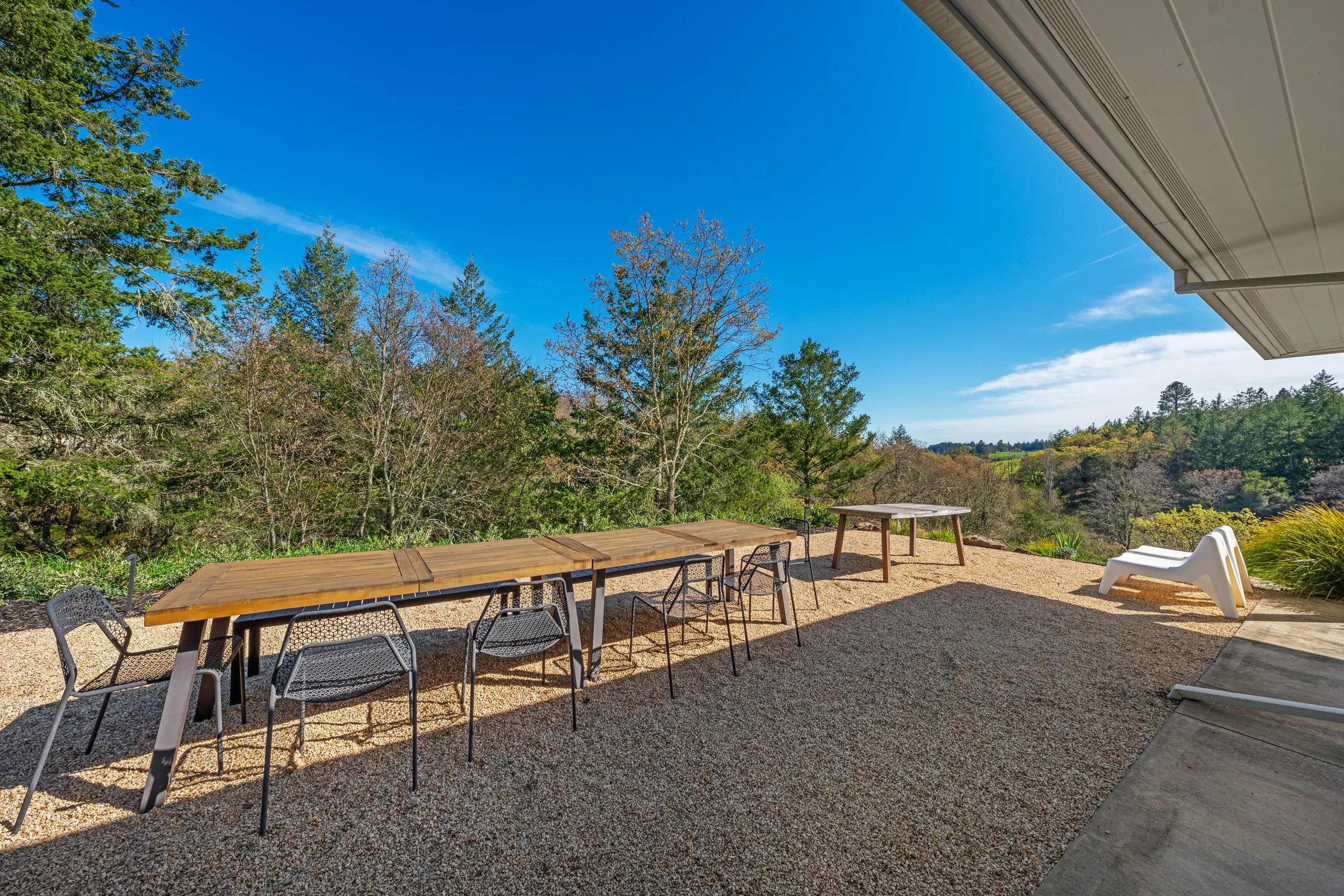 Wander Dry Creek #100