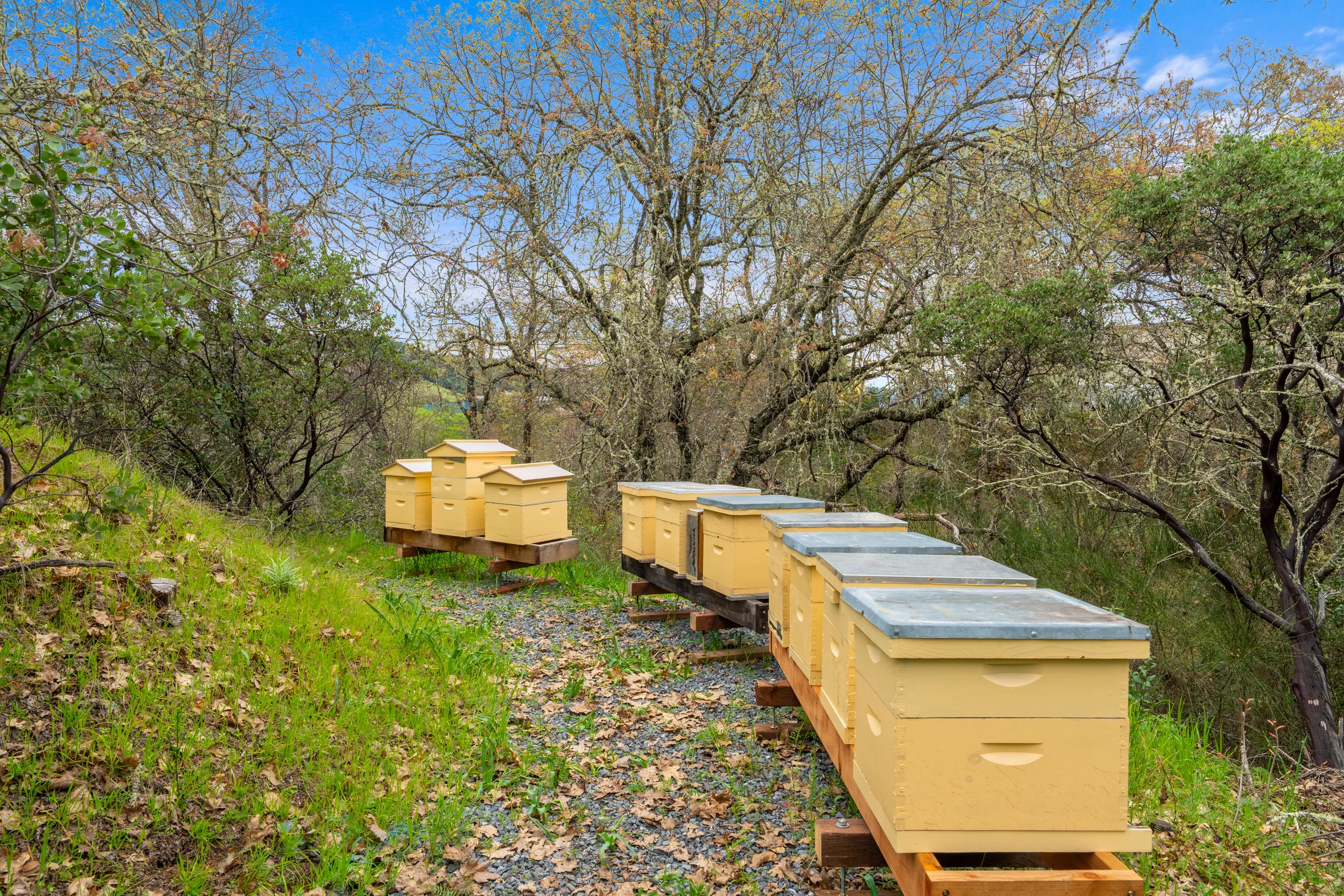 Wander Dry Creek #23