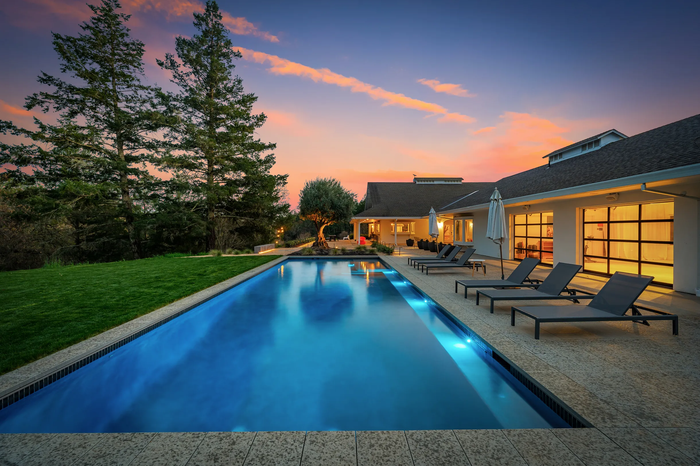 Wander Dry Creek #38