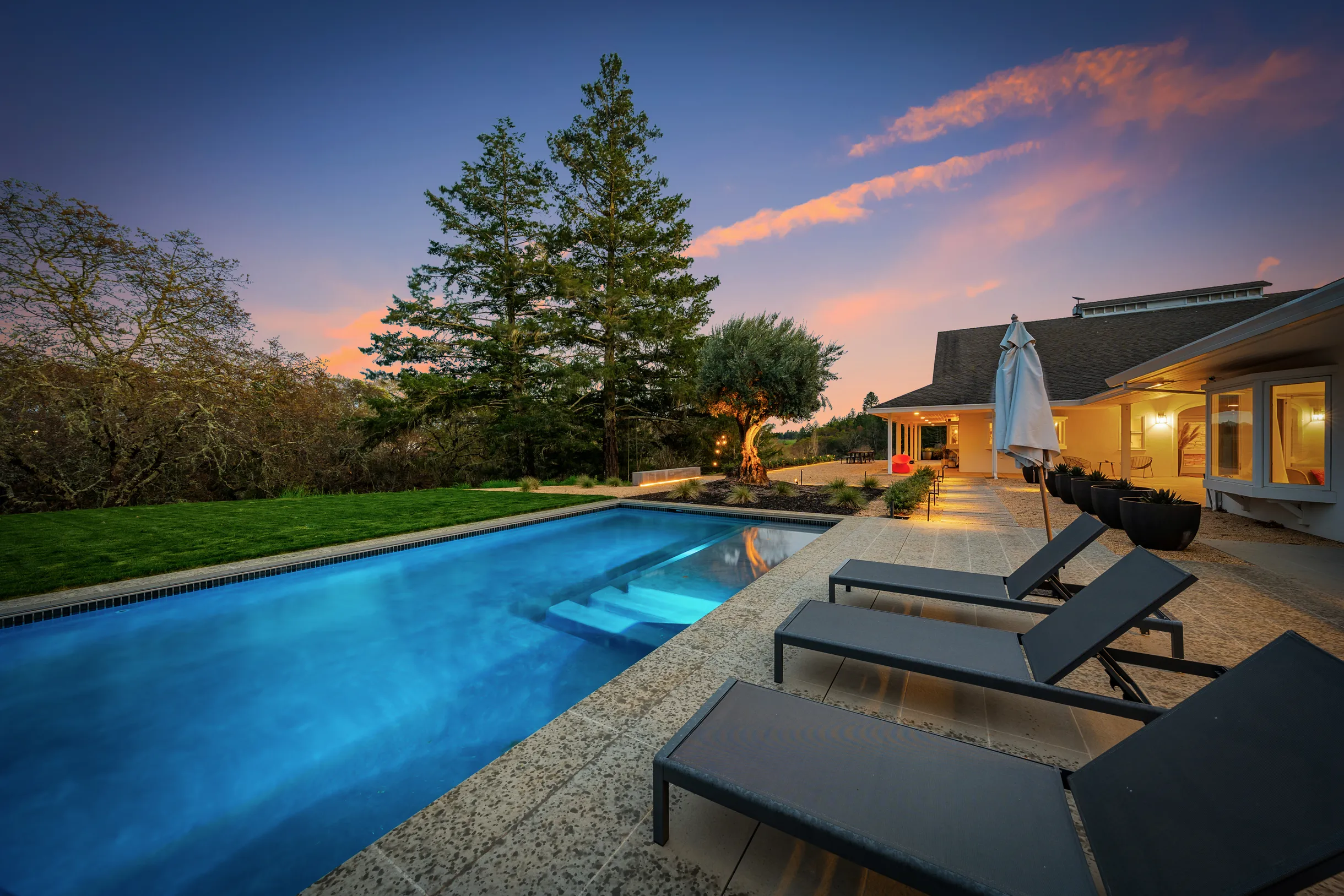 Wander Dry Creek #54