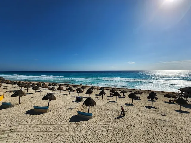 Dolphins Beach