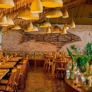 Fred's | The best seafood in Cancun