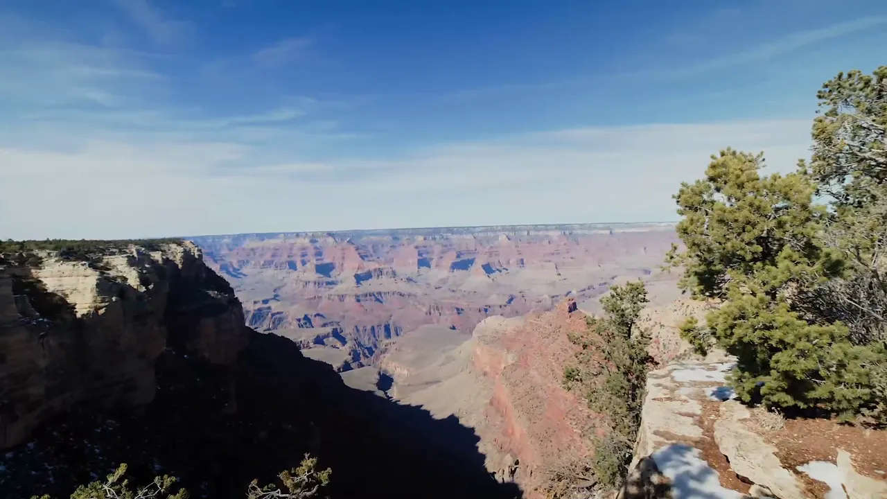 See the local activities