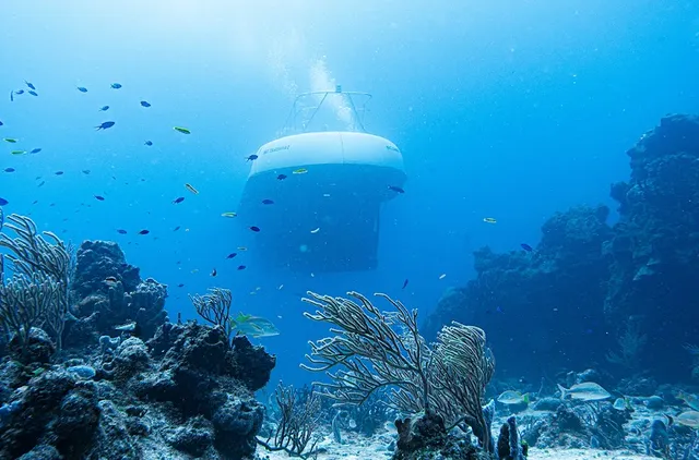 Atlantis Submarines Cozumel