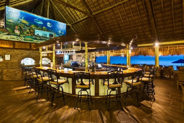 The Money Bar Beach Club