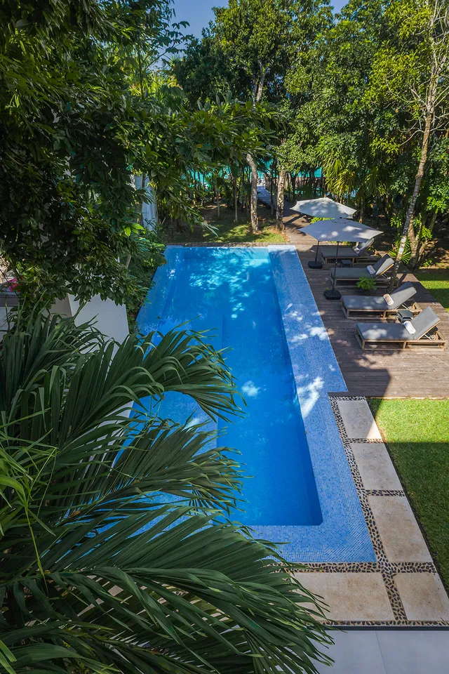 Wander Cozumel Crystal #44