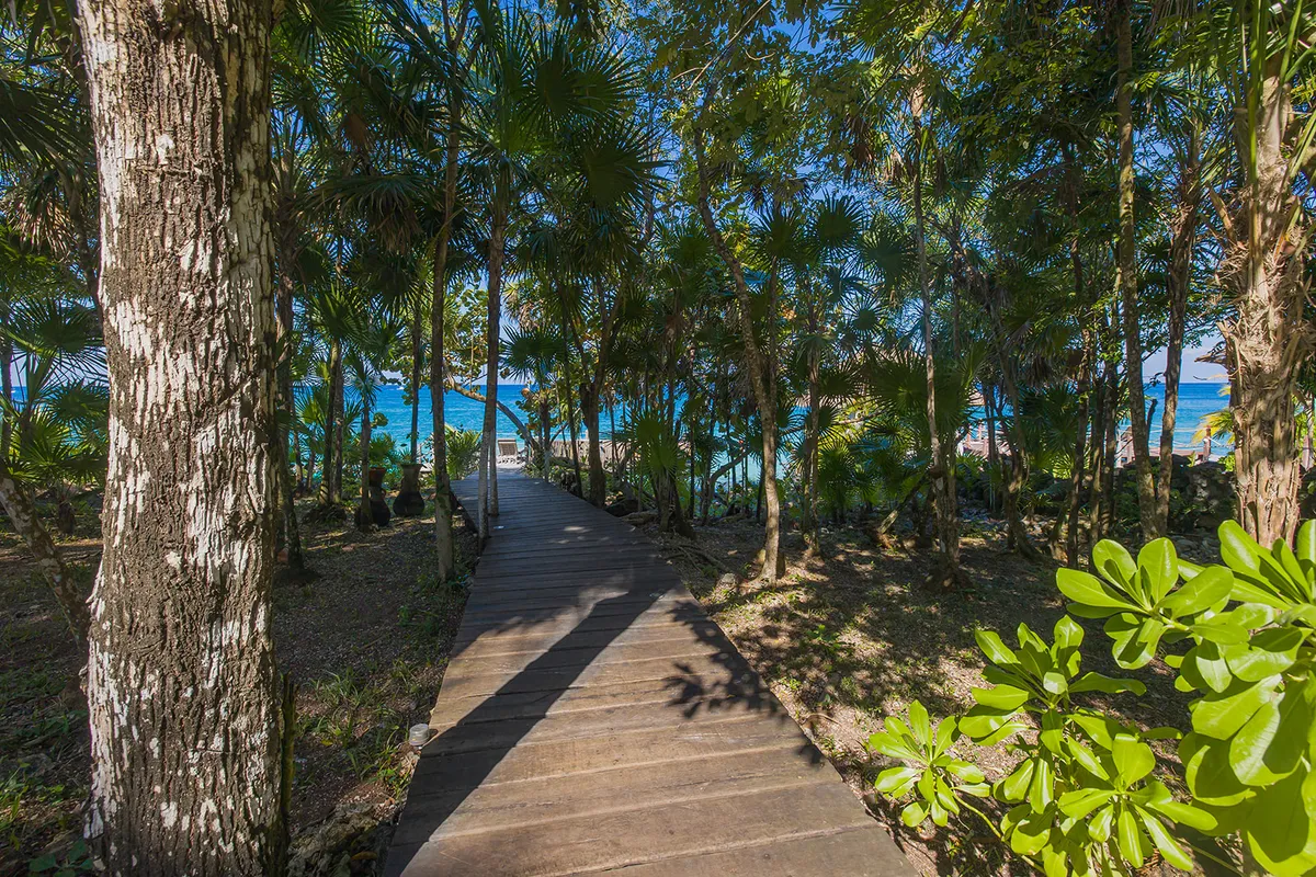 Wander Cozumel Crystal #33