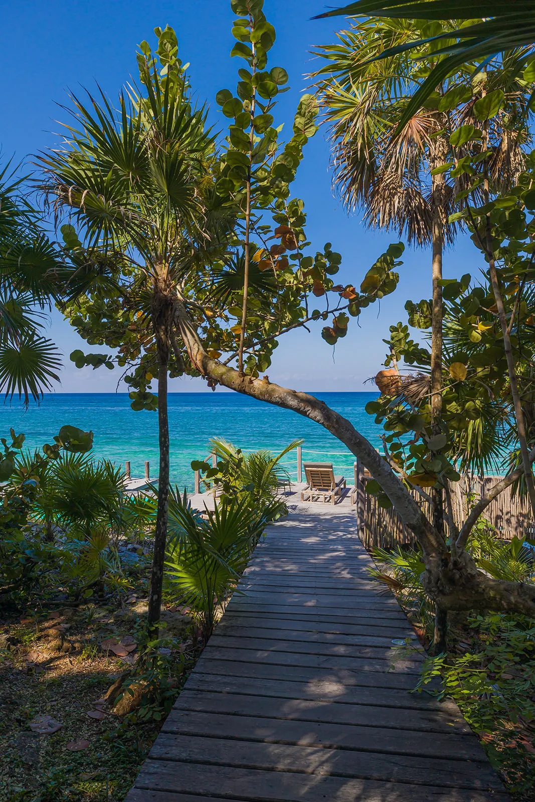 Wander Cozumel Crystal