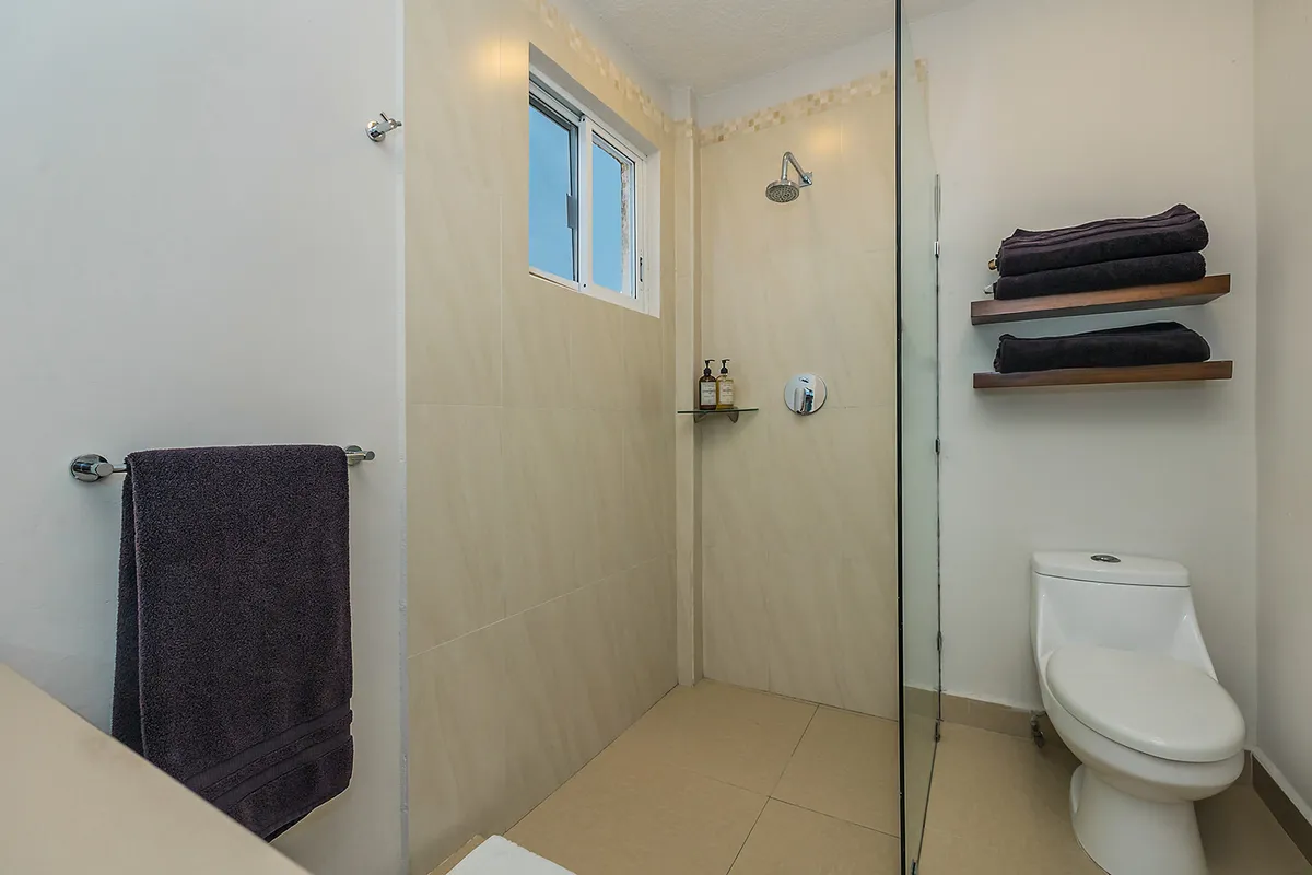 Wander Cozumel Beach