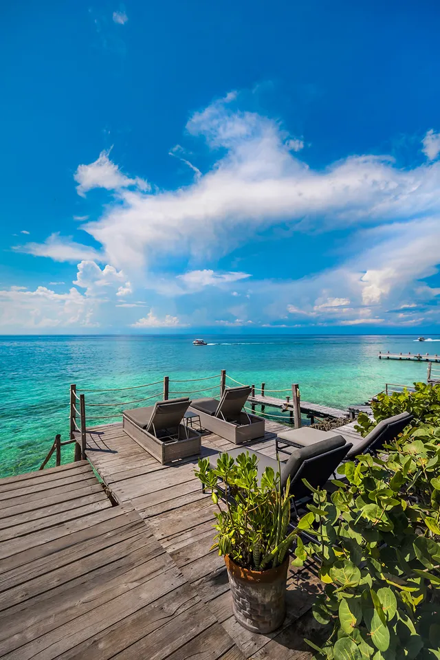 Wander Cozumel Eden #15