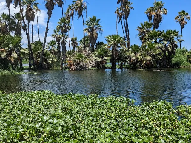 Estero San José