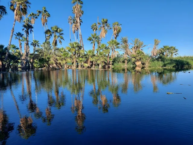 Reserva Ecológica Municipal Esteró de San José del Cabo