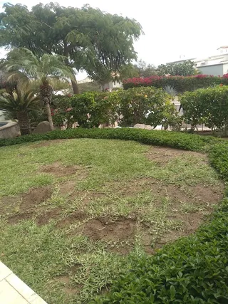 Vado santa rosa
