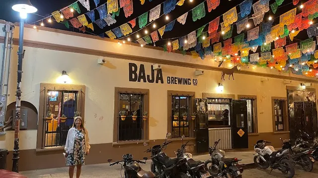 Baja Brewing Company