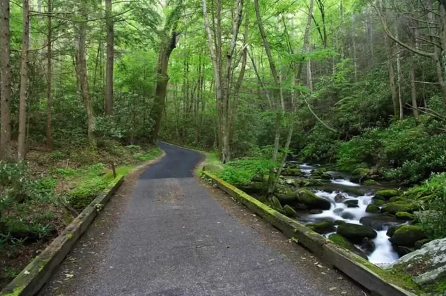 Roaring Fork Motor Nature Trail
