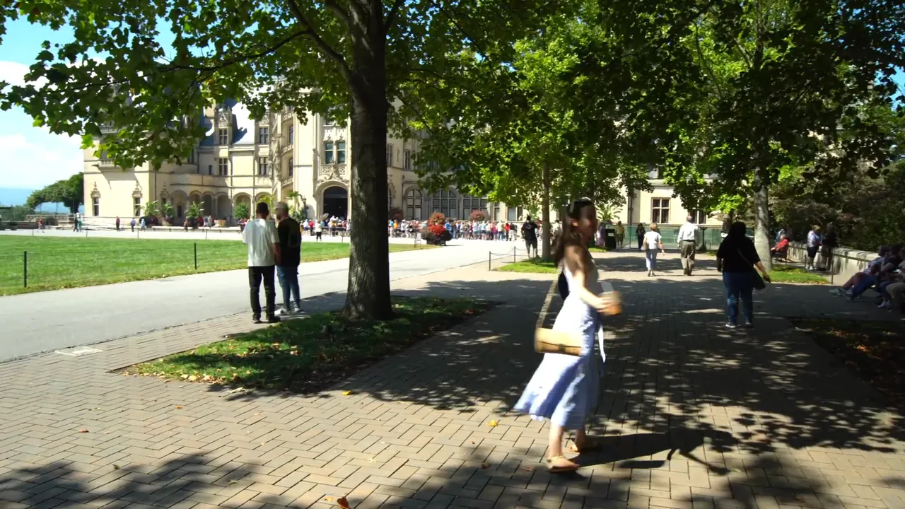 See the local activities