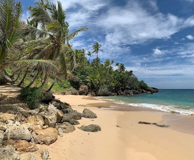 Playa Preciosa- Rio San Juan