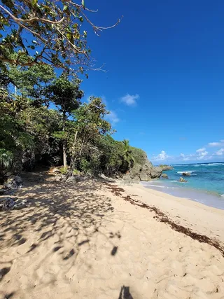 OrchidBay