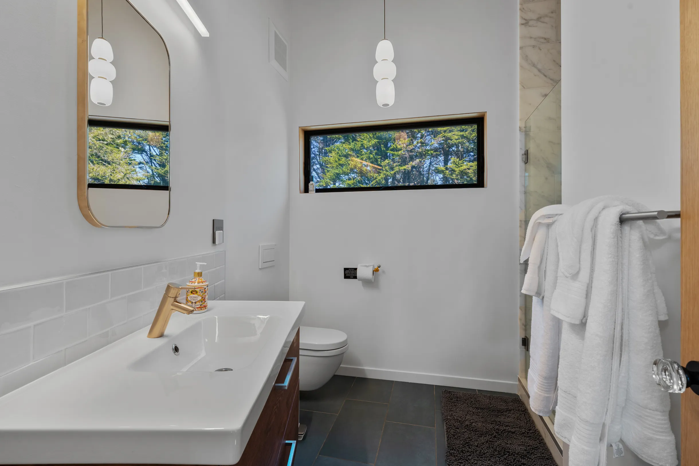 Wander Sea Ranch Vista #37