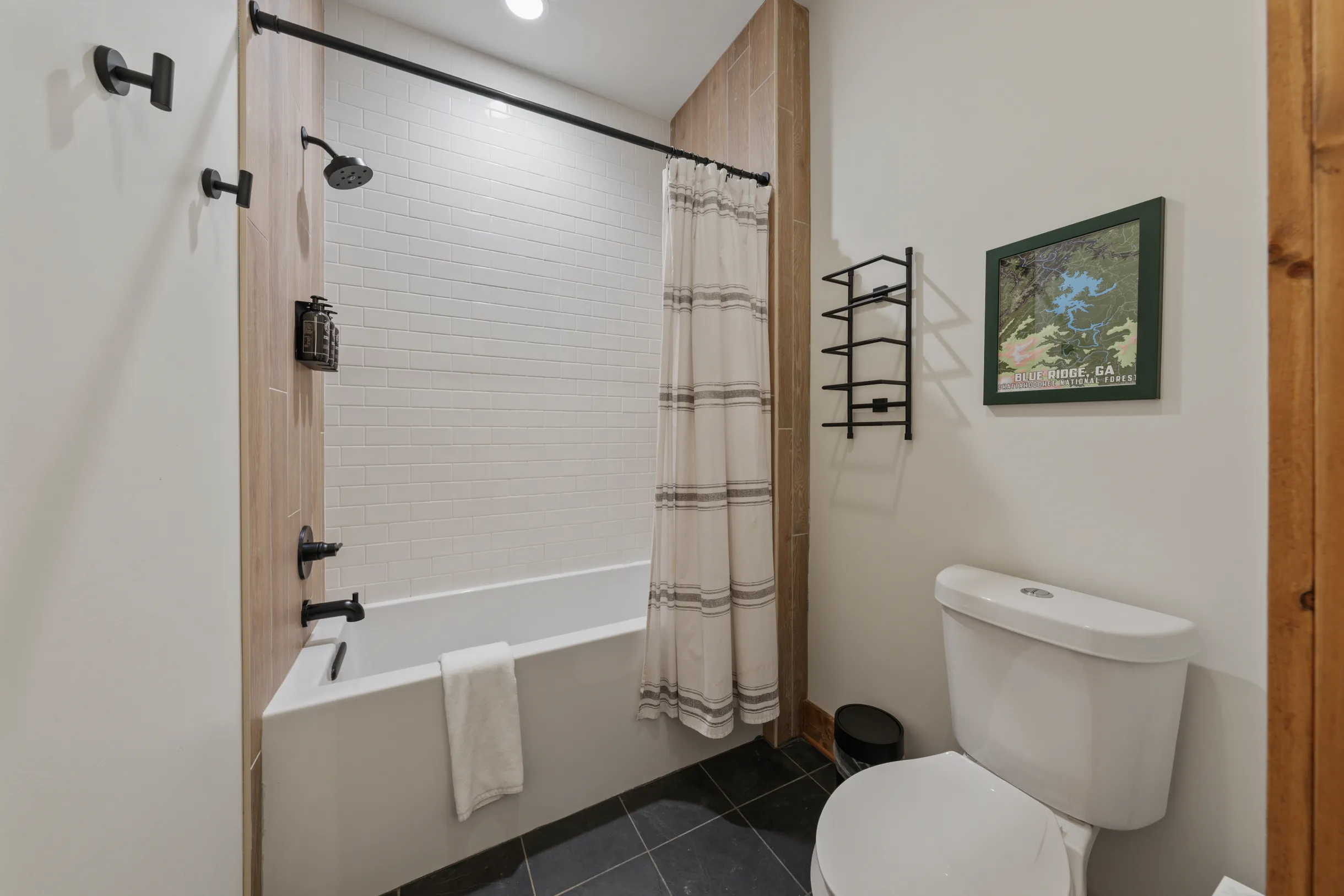 Wander Blue Ridge Pines #65