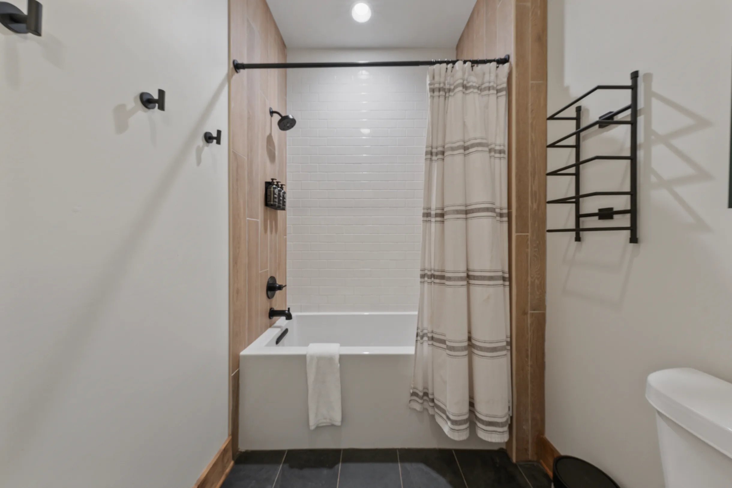 Wander Blue Ridge Pines #47