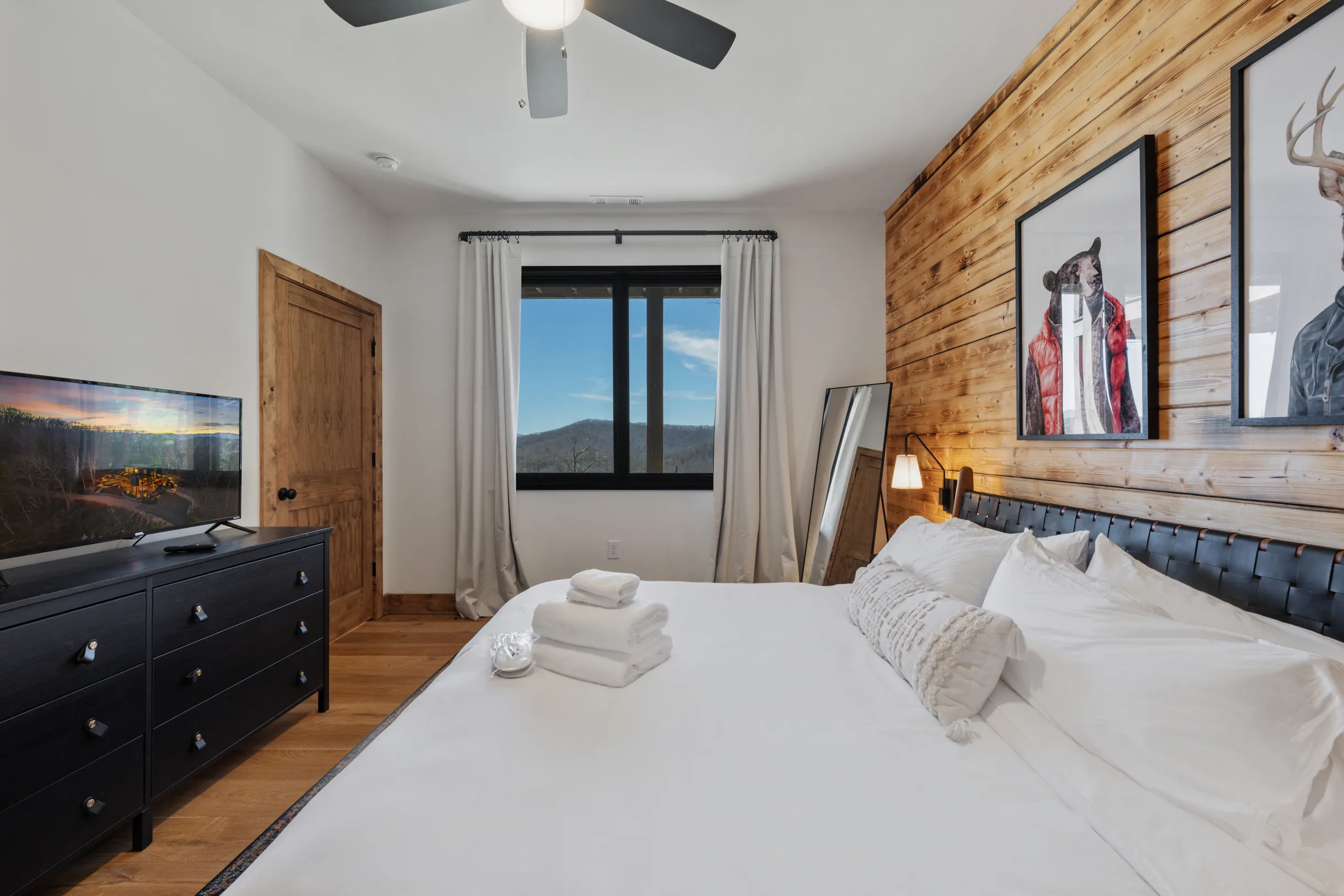 Wander Blue Ridge Pines #67