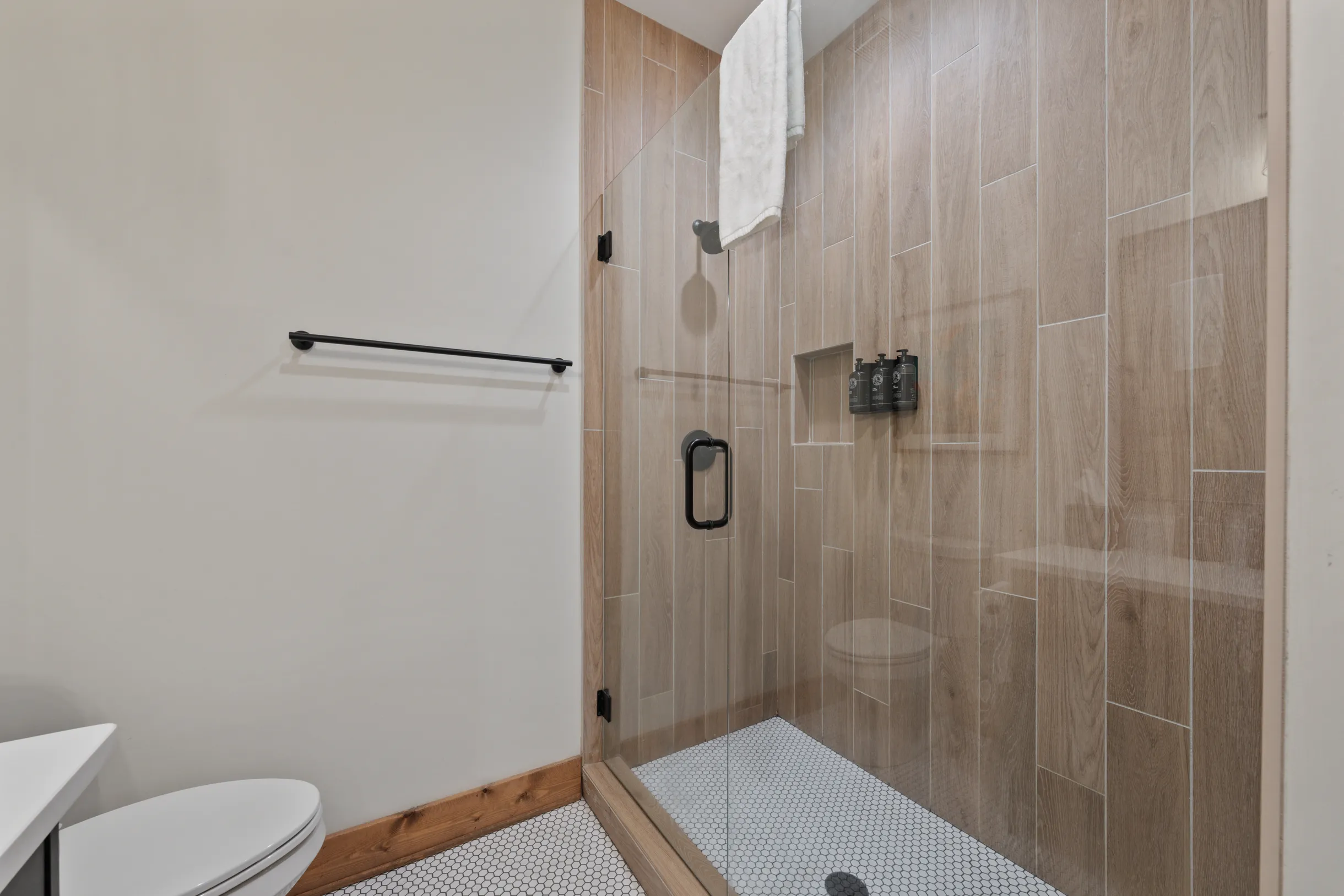 Wander Blue Ridge Pines #50