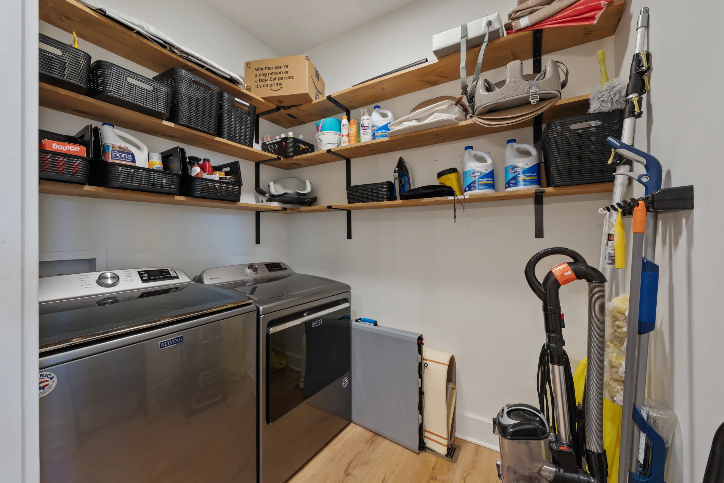 Wander Blue Ridge Pines #13