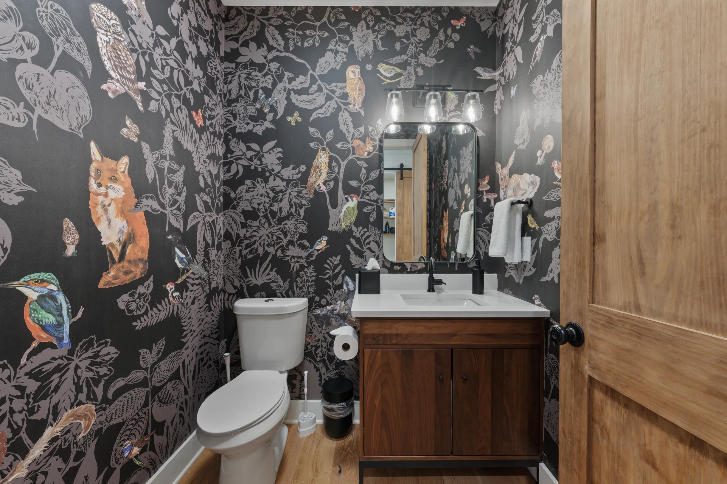 Wander Blue Ridge Pines #14