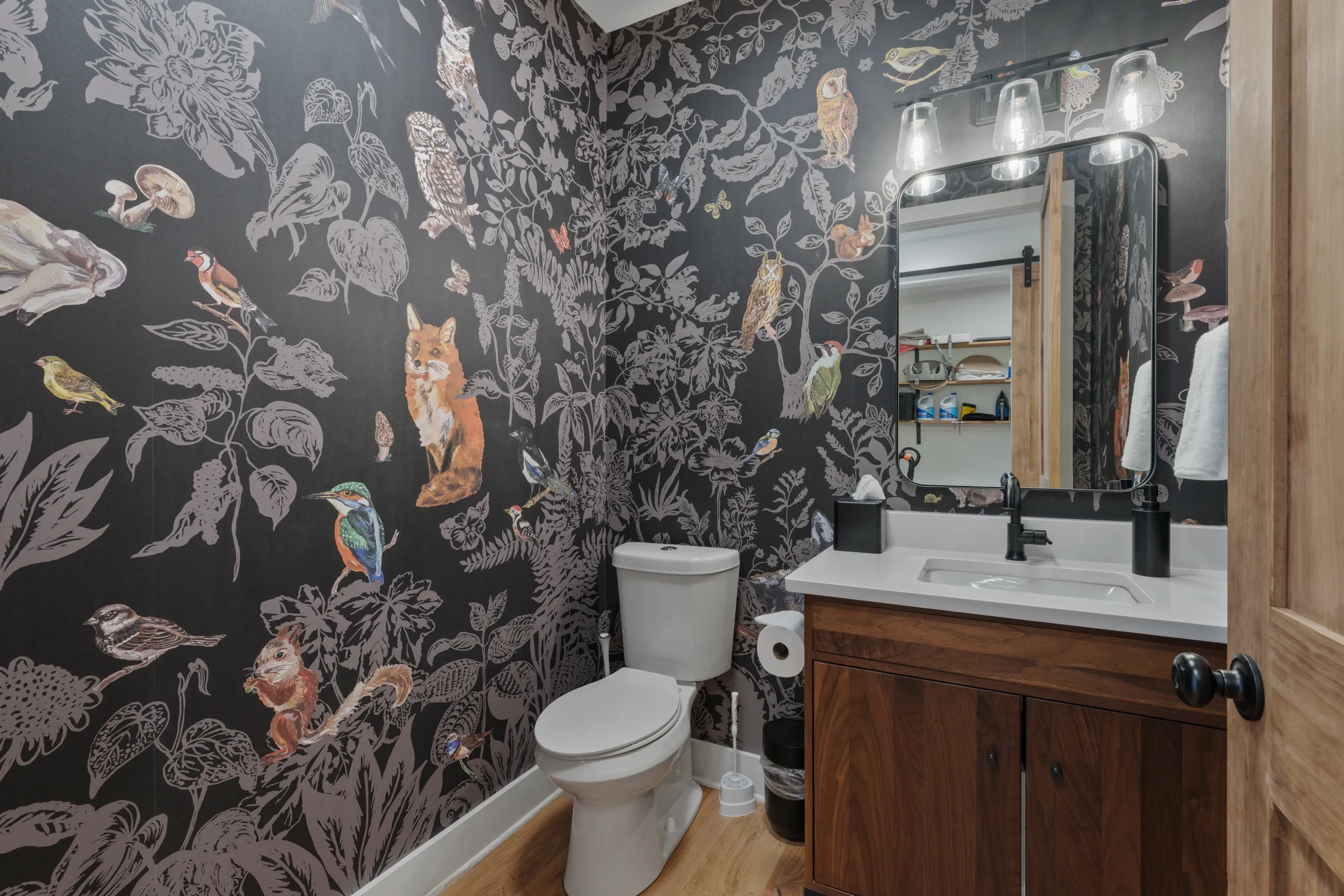 Wander Blue Ridge Pines #34