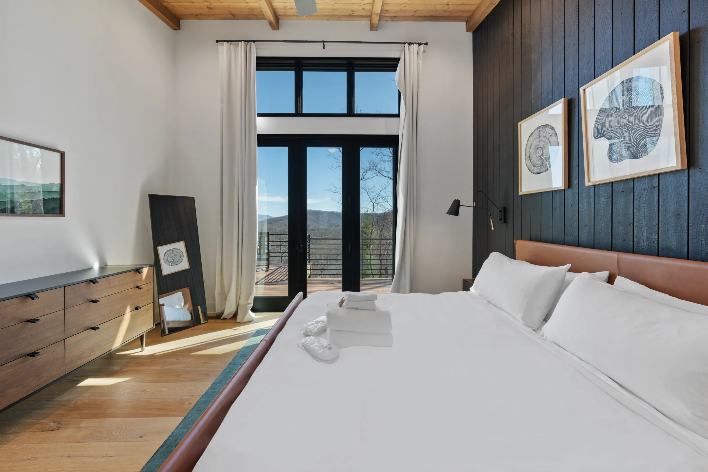 Wander Blue Ridge Pines #72