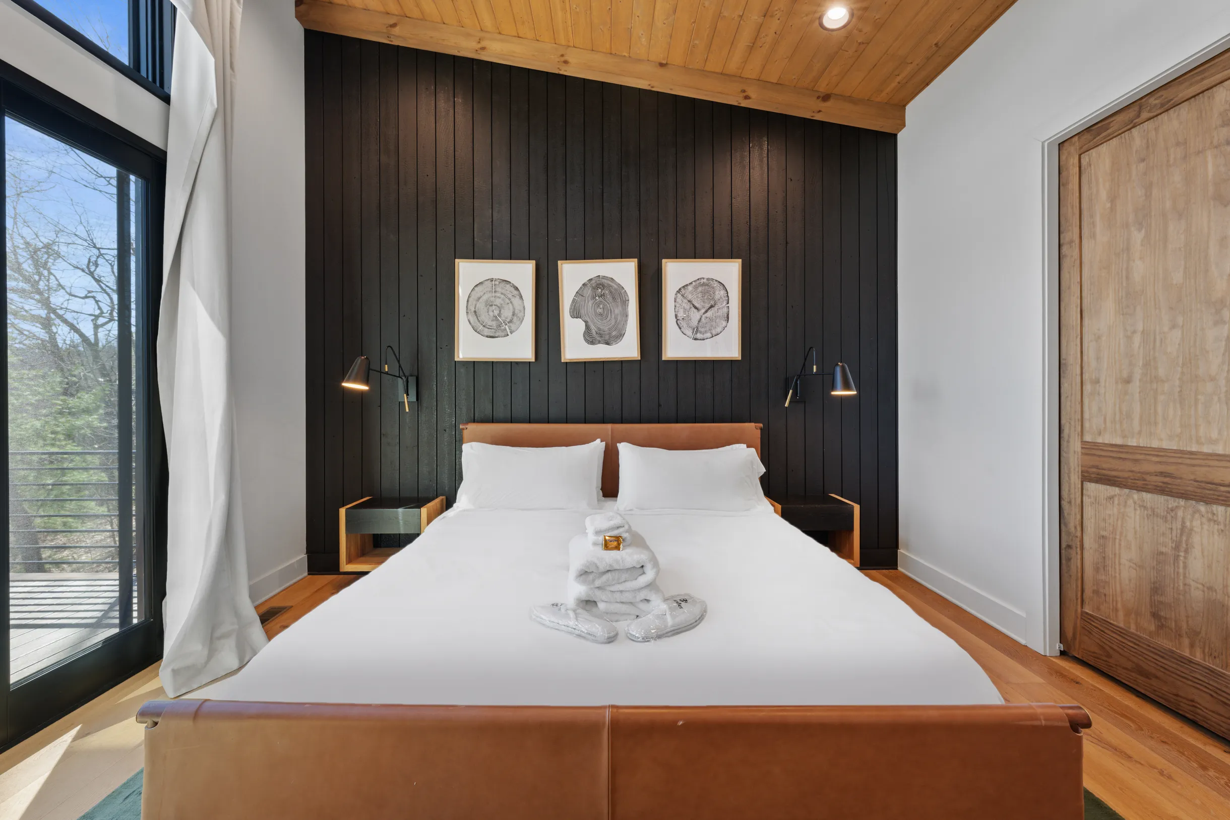 Wander Blue Ridge Pines #37