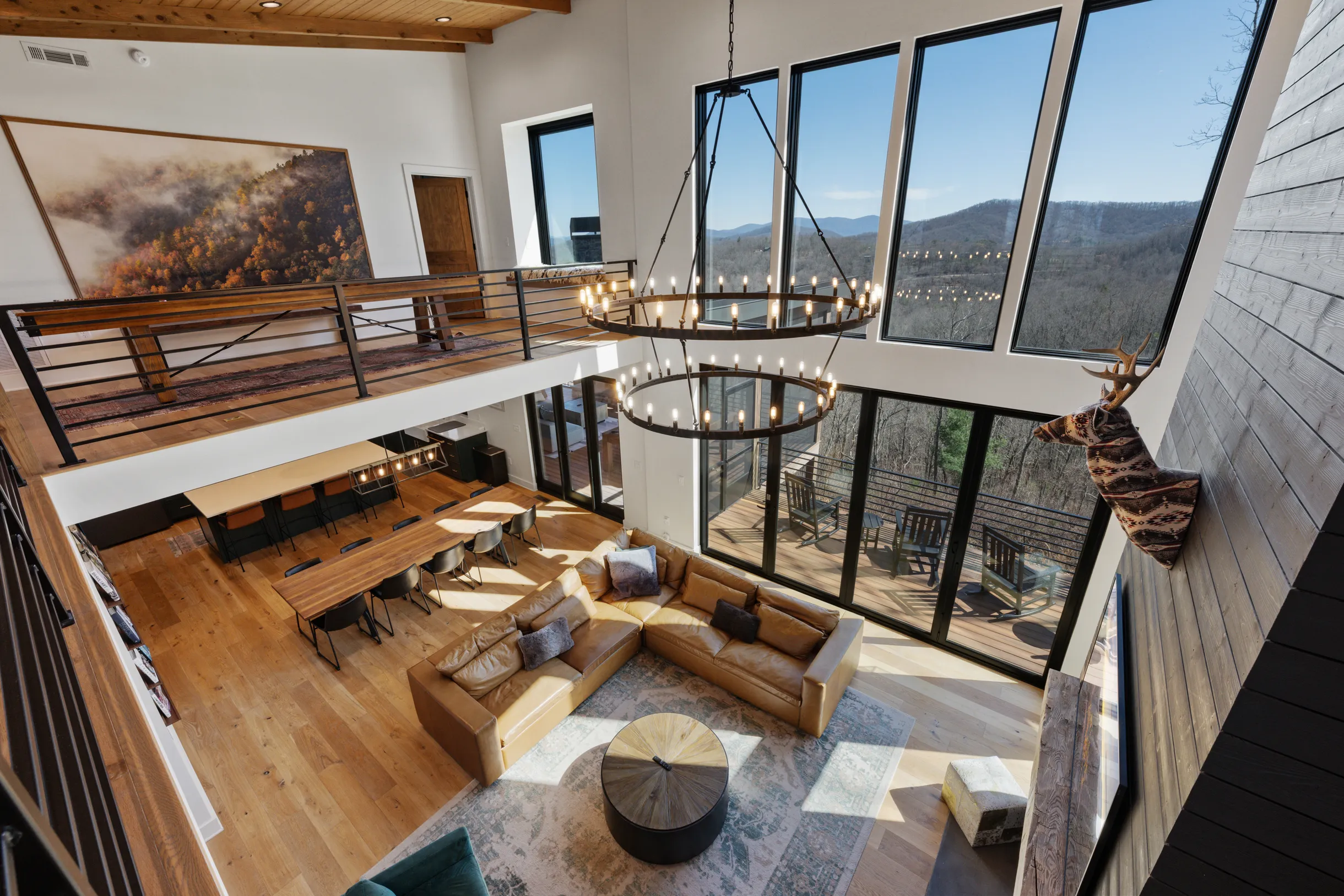 Wander Blue Ridge Pines #104