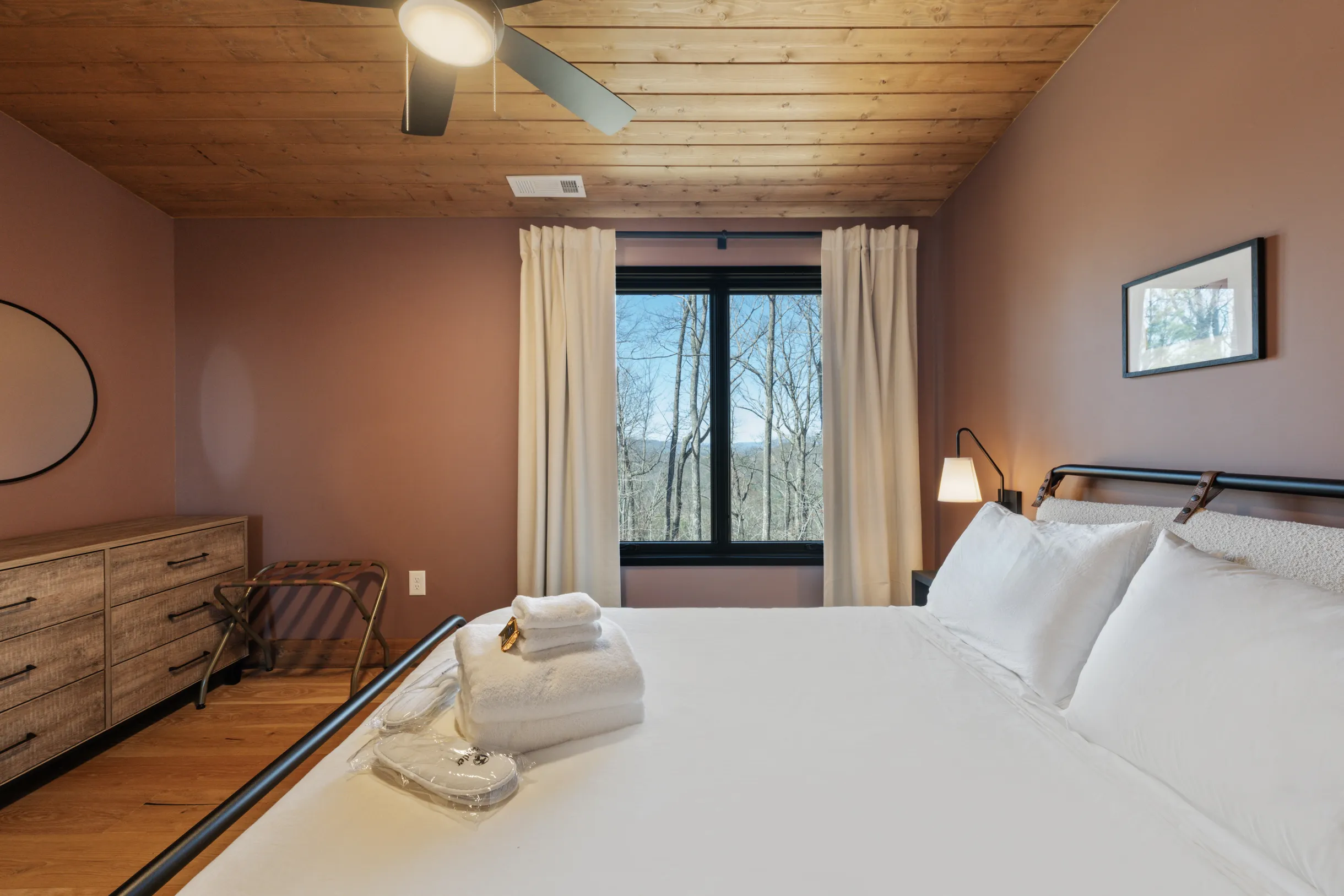 Wander Blue Ridge Pines #75