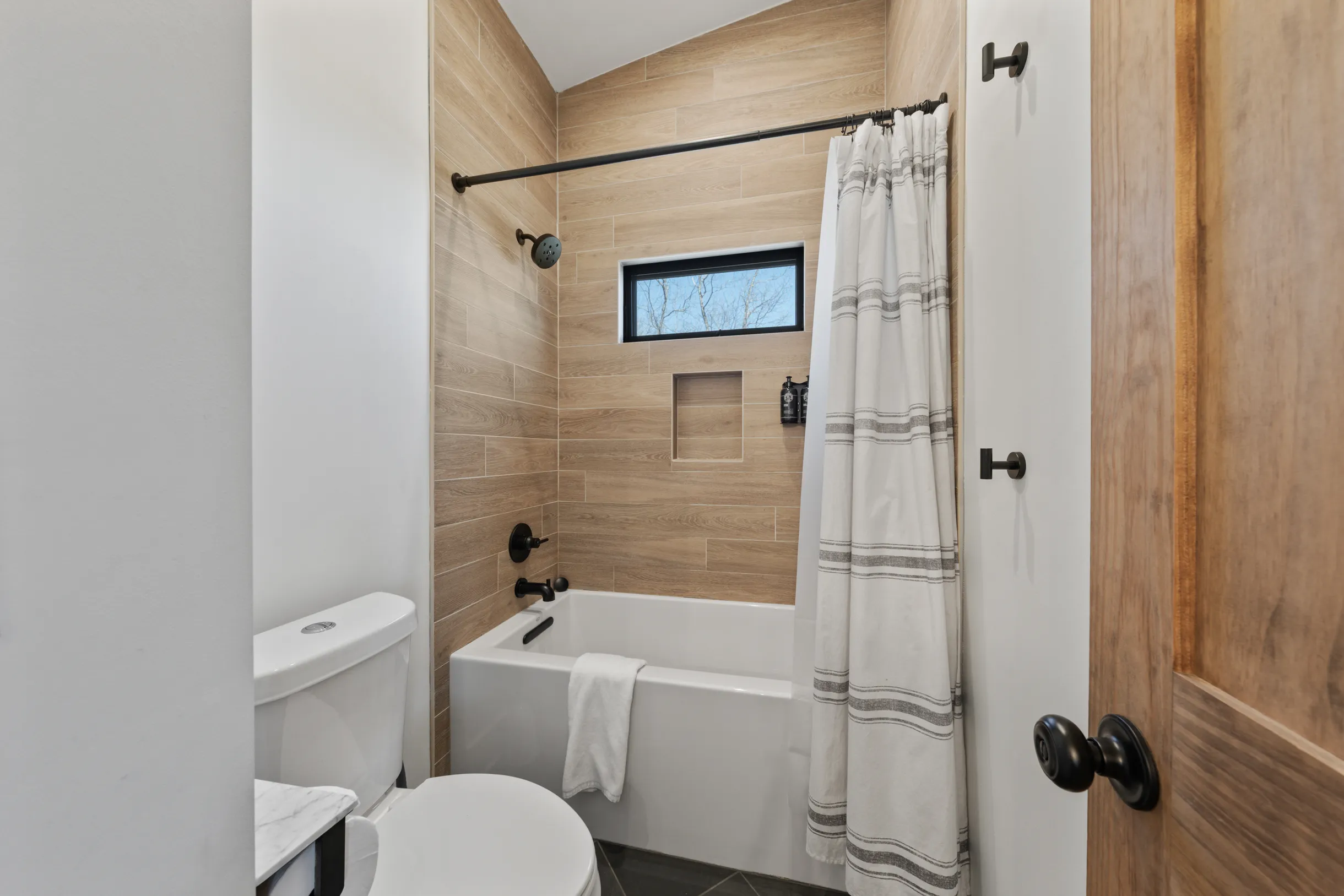 Wander Blue Ridge Pines #60