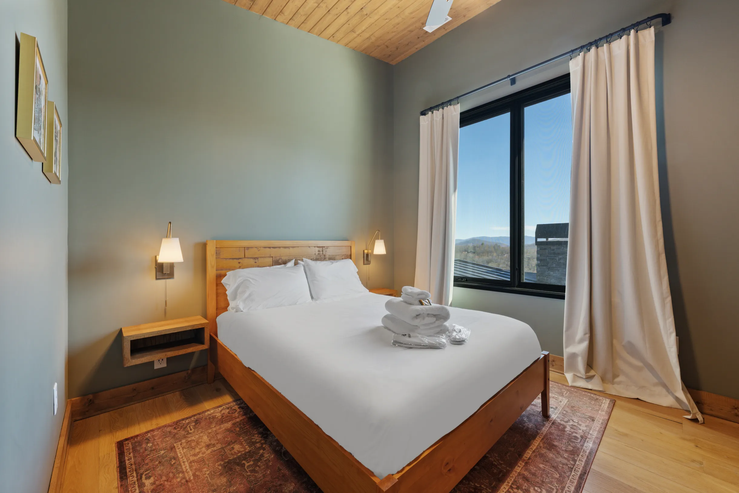 Wander Blue Ridge Pines #22