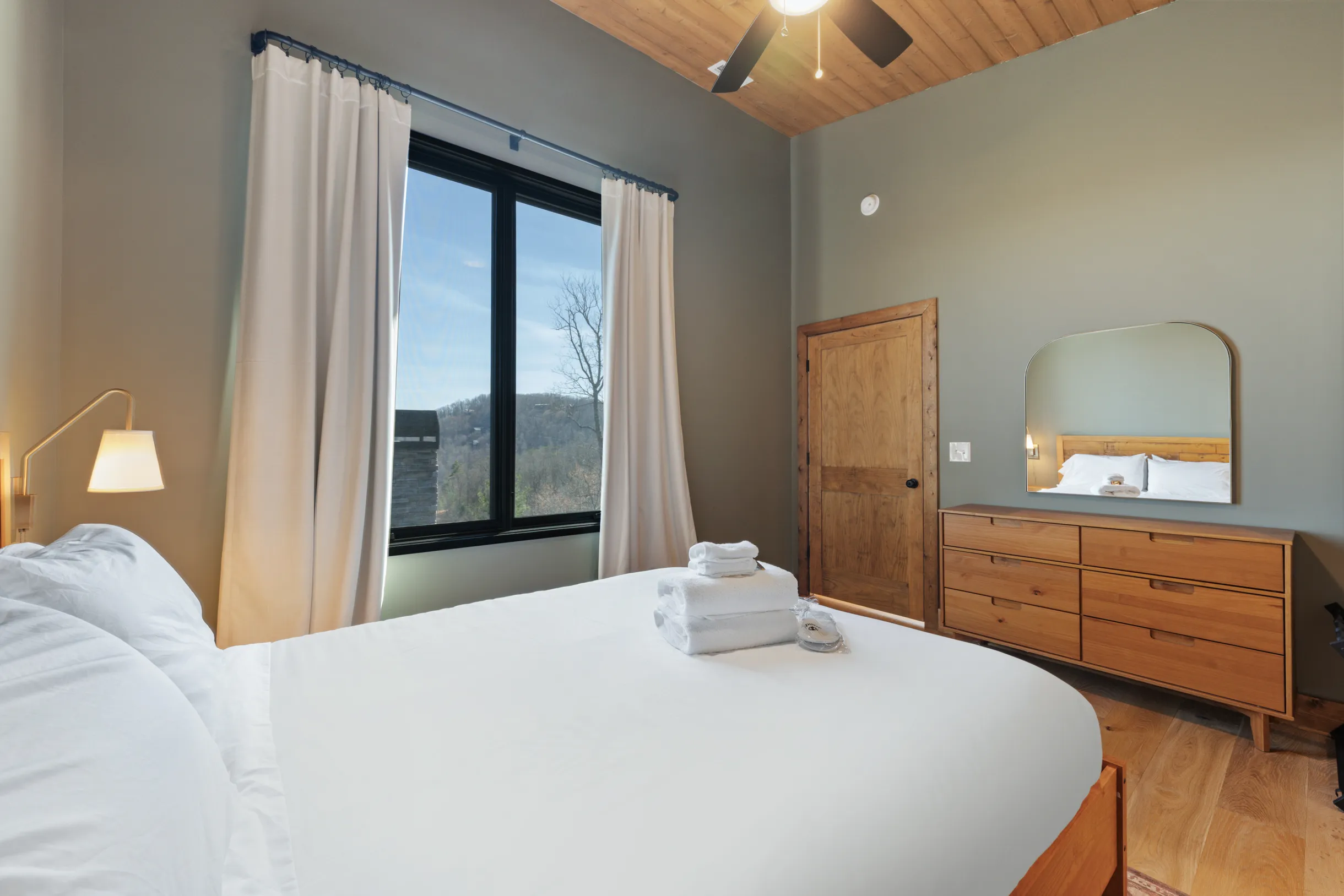 Wander Blue Ridge Pines #42