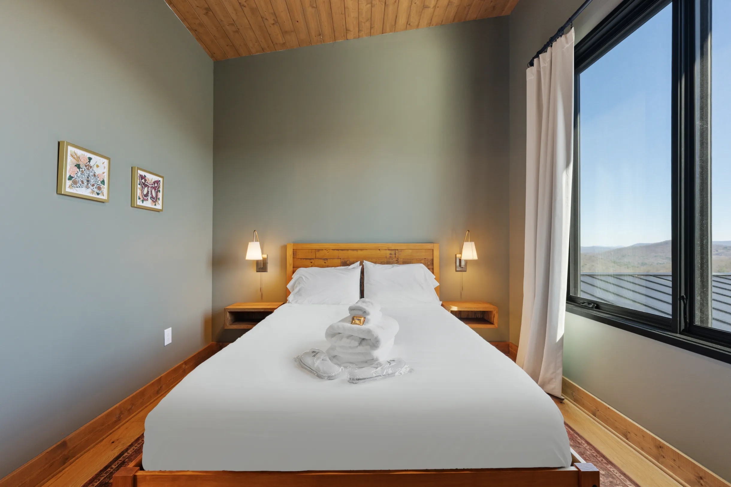 Wander Blue Ridge Pines #61